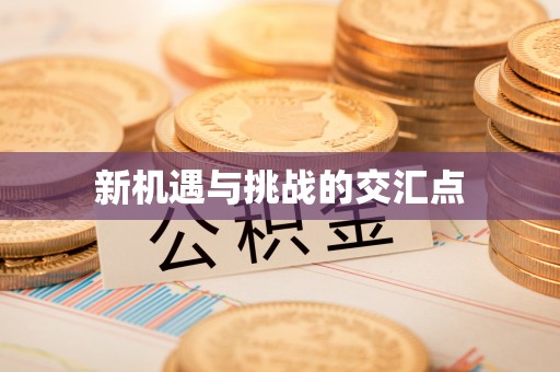 献县新机遇与挑战的交汇点