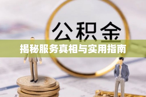 献县揭秘服务真相与实用指南
