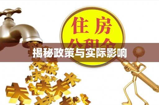 献县揭秘政策与实际影响