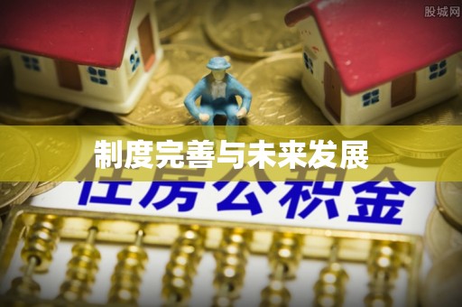 献县制度完善与未来发展